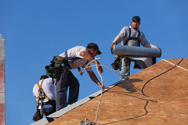 Best Roof Waterproofing Services  in Chesilhurst, NJ